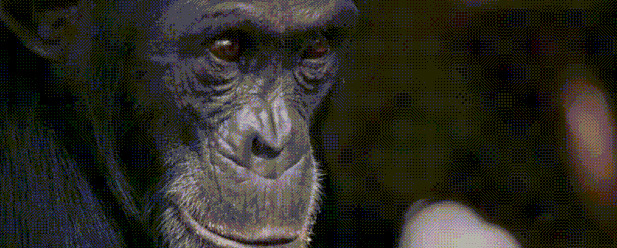 王朝豆瓣【王朝天和李露婷在一起了吗】