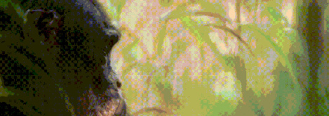 王朝豆瓣【王朝天和李露婷在一起了吗】