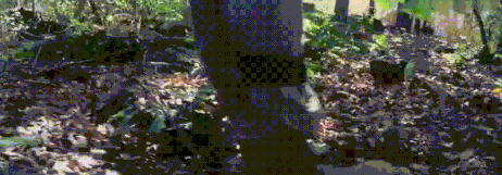 王朝豆瓣【王朝天和李露婷在一起了吗】