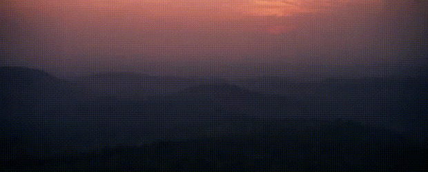 王朝豆瓣【王朝天和李露婷在一起了吗】