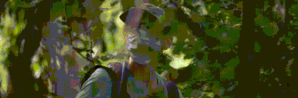 王朝豆瓣【王朝天和李露婷在一起了吗】