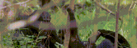 王朝豆瓣【王朝天和李露婷在一起了吗】