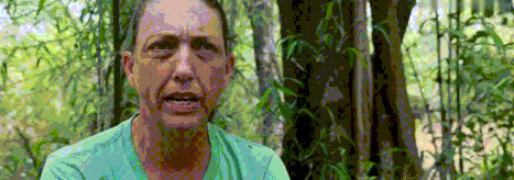 王朝豆瓣【王朝天和李露婷在一起了吗】