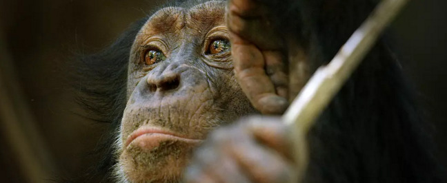 王朝豆瓣【王朝天和李露婷在一起了吗】