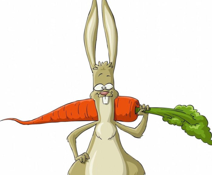 小动物的故事300字【儿童睡前故事小动物的故事】