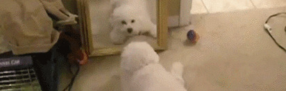 一个人睡觉两个枕头好不好【一个人睡放几个枕头好风水】