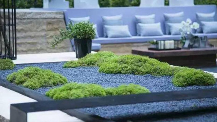 河南农村庭院设计实景图【农村庭院设计实景图方正院子】