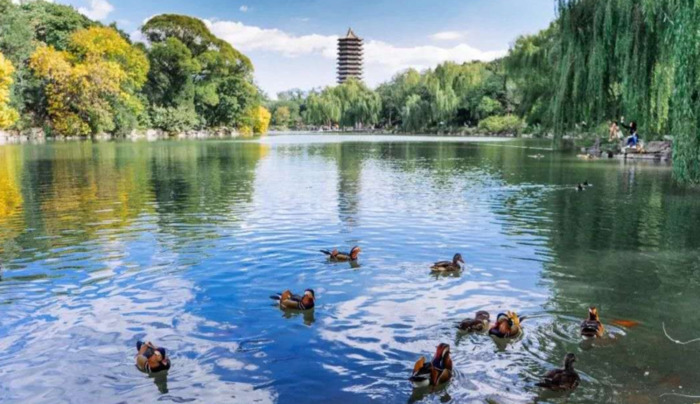 给高三学生的暖心话100字【给高三学生的暖心话可爱】