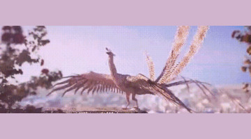 扫一扫人脸识别明星app【识别明星 扫一扫】