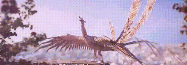 扫一扫人脸识别明星app【识别明星 扫一扫】