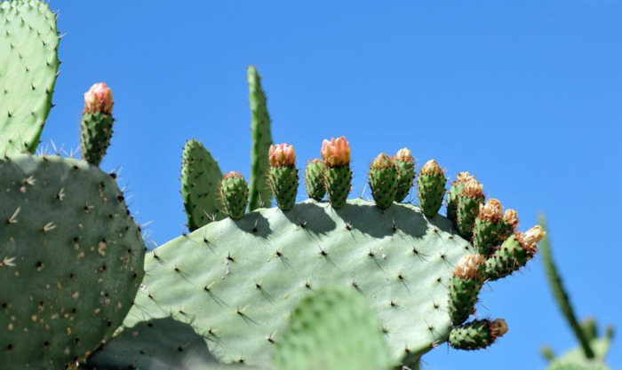 金家饭全本免费阅读【金家饭全本在线看】