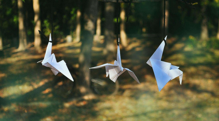 金家饭全本免费阅读【金家饭全本在线看】