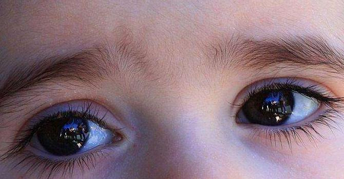 金家饭全本免费阅读【金家饭全本在线看】