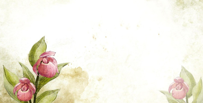 金家饭全本免费阅读【金家饭全本在线看】