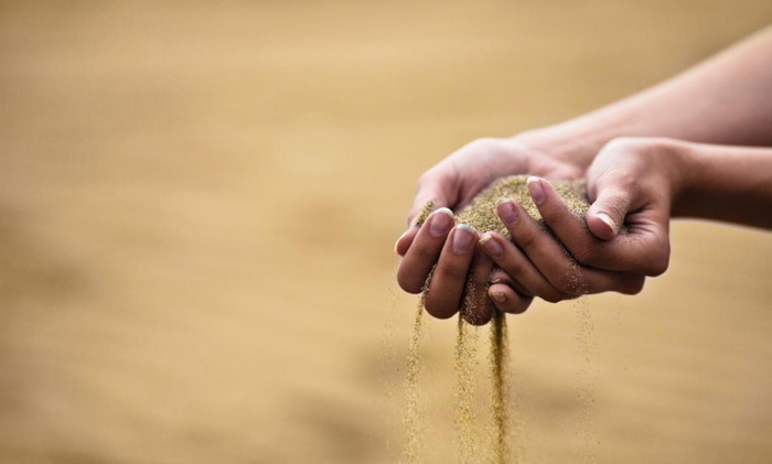 金家饭全本免费阅读【金家饭全本在线看】
