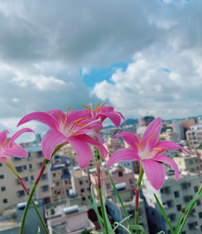 拍照背景墙图片【图片背景墙】