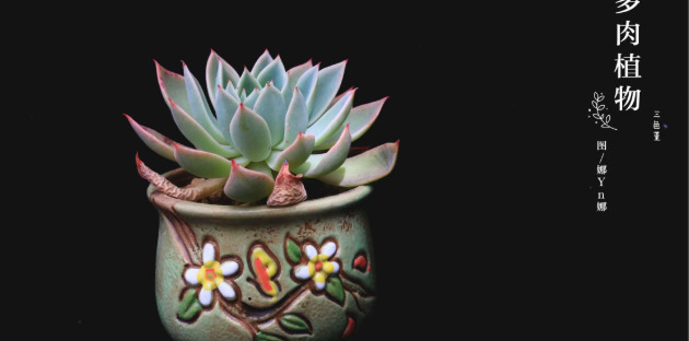 拍照背景墙图片【图片背景墙】