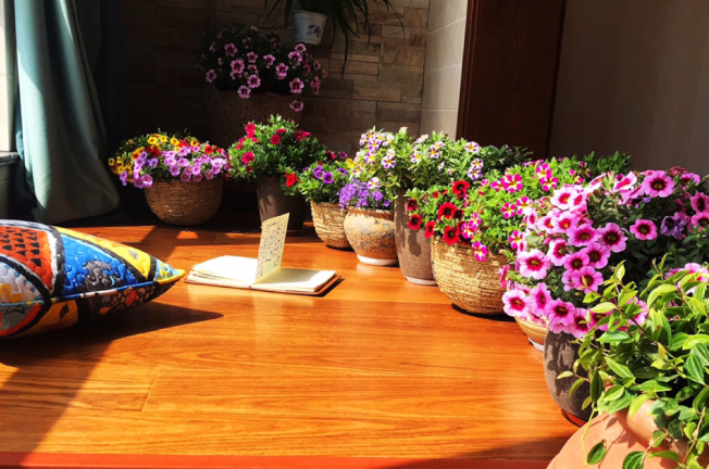 拍照背景墙图片【图片背景墙】