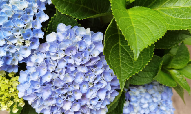 拍照背景墙图片【图片背景墙】