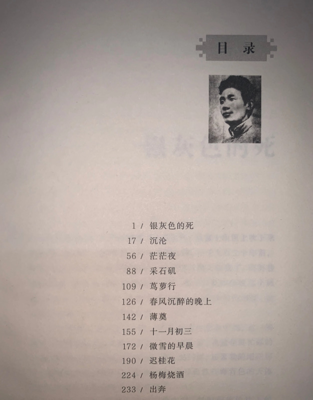 沉沦读后感作文250字【读完沉沦的感想】