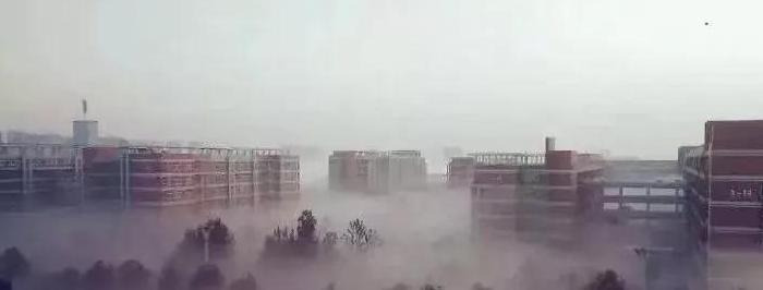 搞活动发朋友圈话语公司周年庆【搞活动发朋友圈的句子】