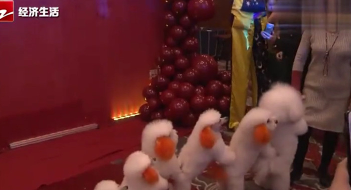 抖商是做什么的【抖商联盟官网】