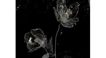 分手后的意难平【意难平到底是什么意思】