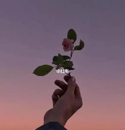 分手后的意难平【意难平到底是什么意思】