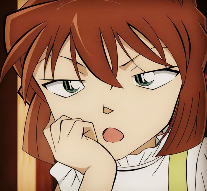 名侦探柯南的头像【名侦探柯南的壁纸】