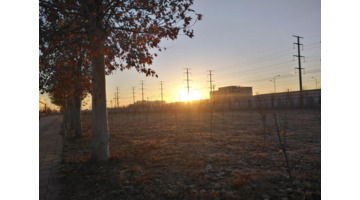 形容早起勤奋的话【形容早起勤奋的人的词语】