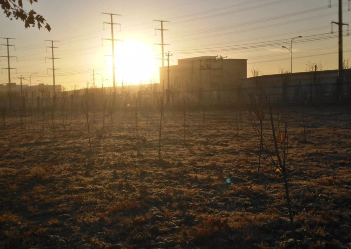 形容早起勤奋的话【形容早起勤奋的人的词语】