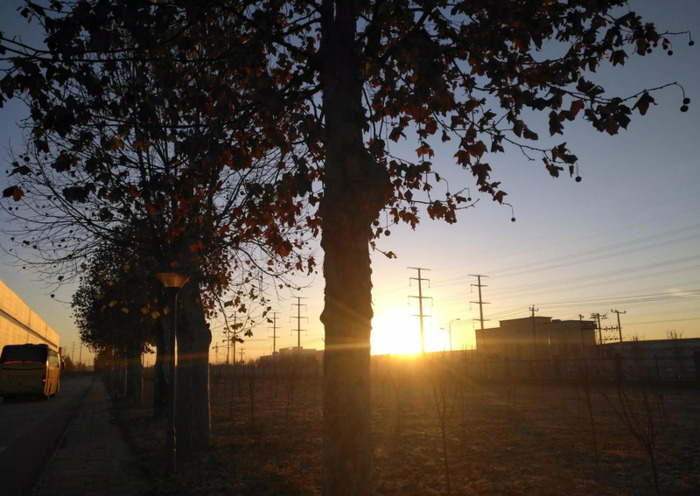 形容早起勤奋的话【形容早起勤奋的人的词语】