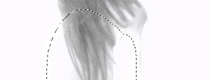 ps通道抠图步骤人物【ps通道抠图步骤水滴图图解】