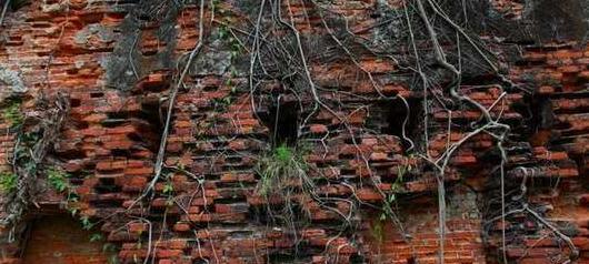 台湾和台北有什么关系【新台北和台北有啥区别】