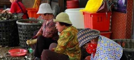 台湾和台北有什么关系【新台北和台北有啥区别】