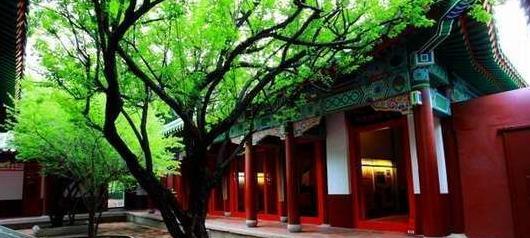 台湾和台北有什么关系【新台北和台北有啥区别】