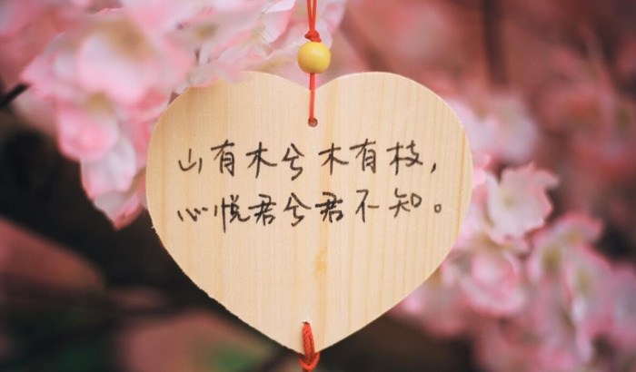 爱情诚可贵后面一句是什么【爱情诚可贵自由价更高下一句是什么】