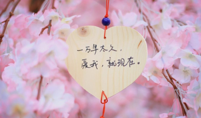 爱情诚可贵后面一句是什么【爱情诚可贵自由价更高下一句是什么】