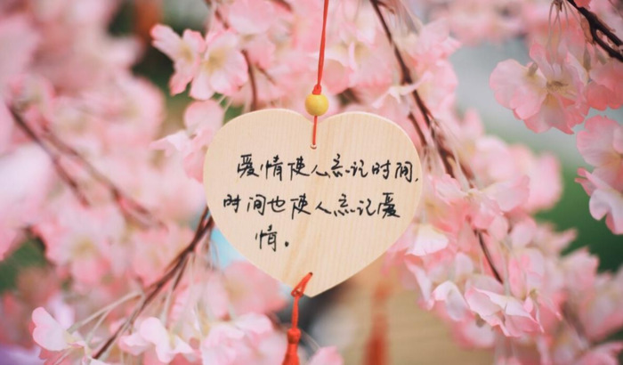 爱情诚可贵后面一句是什么【爱情诚可贵自由价更高下一句是什么】