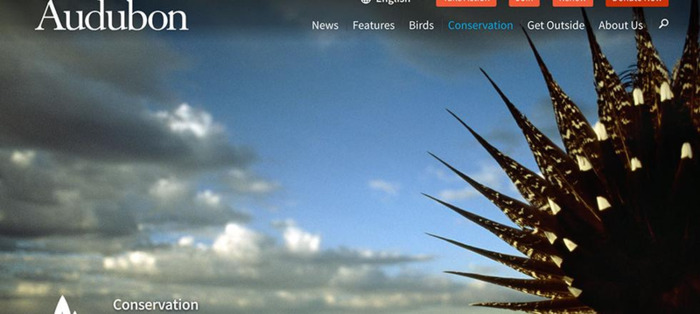 时刻设计导航【灰大设计导航】