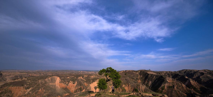 阴阳先生下葬顺口溜土地老不得阻拦【东北阴阳先生下葬词】