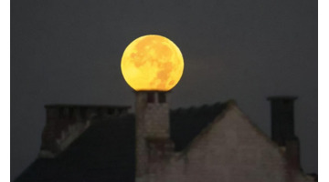 中秋节思念情人的短句【中秋节思念情人的说说】