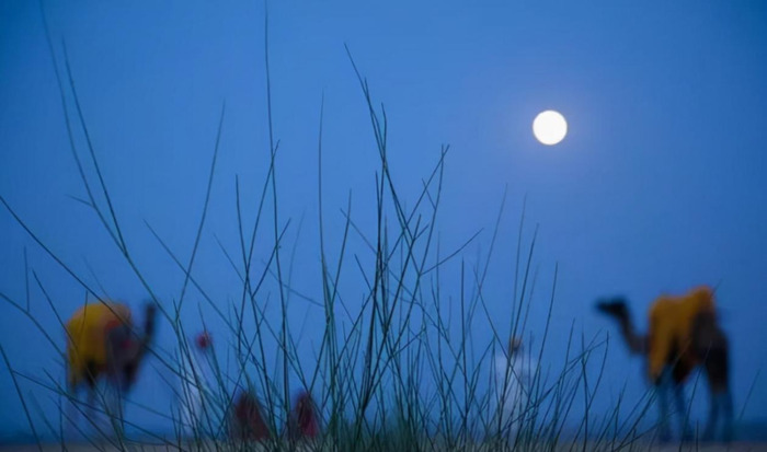 中秋节思念情人的短句【中秋节思念情人的说说】