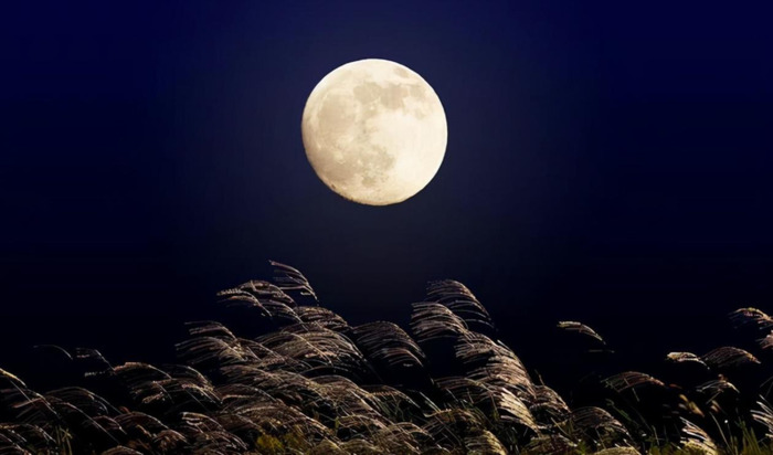 中秋节思念情人的短句【中秋节思念情人的说说】