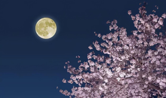 中秋节思念情人的短句【中秋节思念情人的说说】