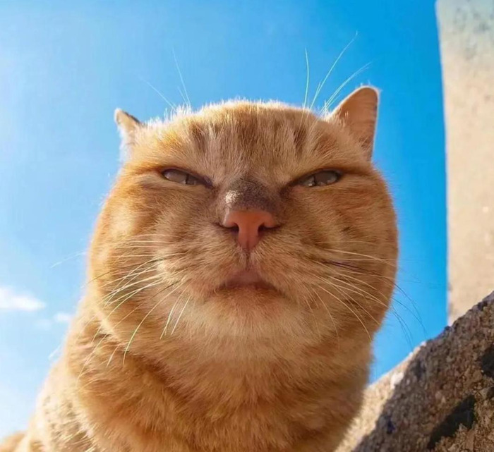 重阳节过生日送自己祝福的话语【重阳节过生日的祝福话】