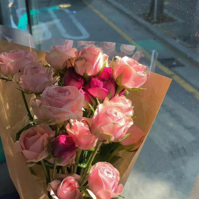 期待的句子唯美短句英文【充满期待的句子唯美短句】