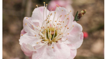 普通周记100字【普通周记200字要真实】