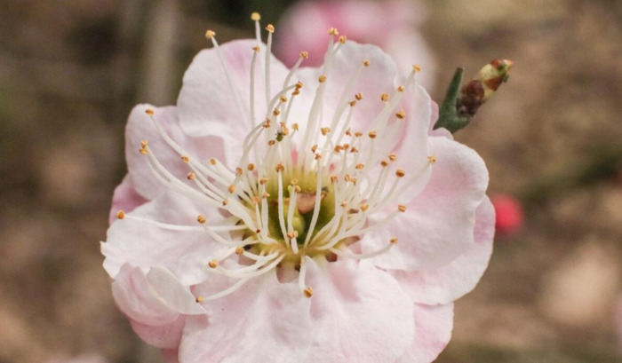 普通周记100字【普通周记200字要真实】
