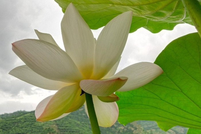 普通周记100字【普通周记200字要真实】